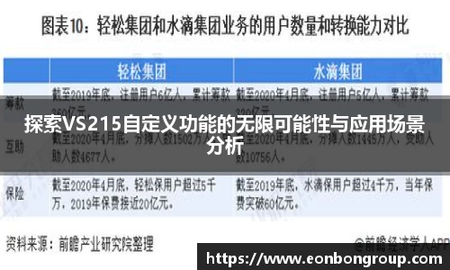 探索VS215自定义功能的无限可能性与应用场景分析